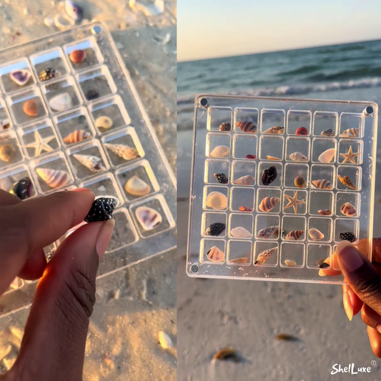 ShelLuxe- Tiny Shell Date, Display Case