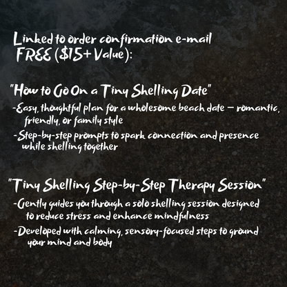 ShelLuxe- Tiny Shell Date, Display Case